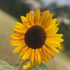 Meet your Posher, Leah